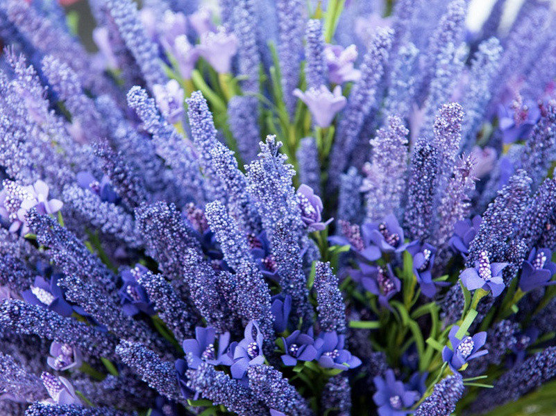 “俯仰俱萧瑟”-杜甫丛菊两开