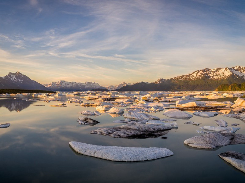 羌村三首其三(群鸡正乱叫)