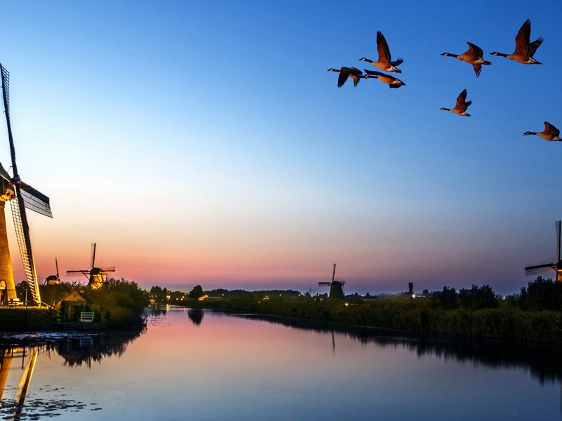 喜闻官军已临贼境二十韵