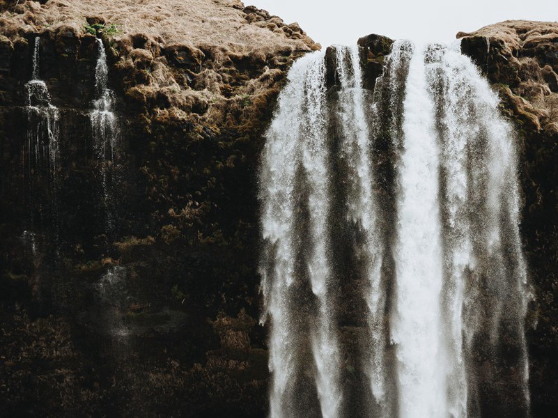 双喜-杜甫丛菊两开