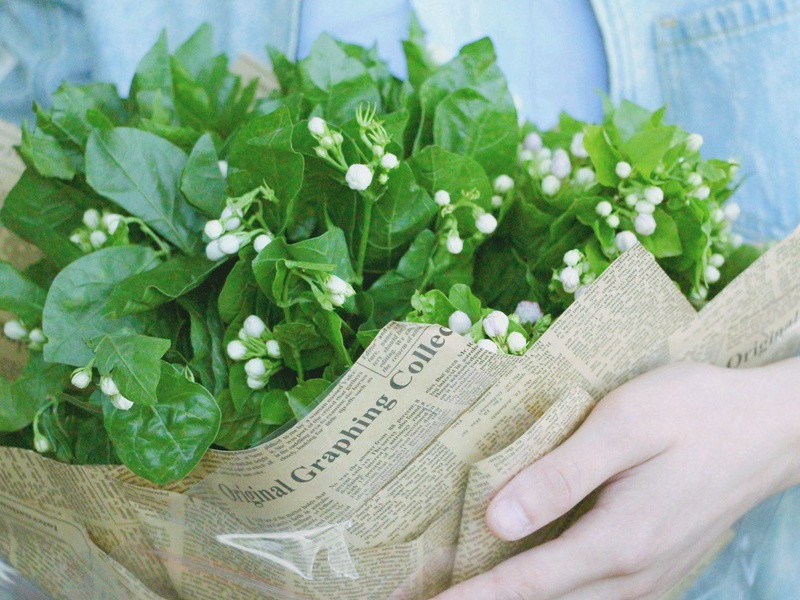 一个“口蜜腹剑”的宰相-杜甫在“应诏”前后