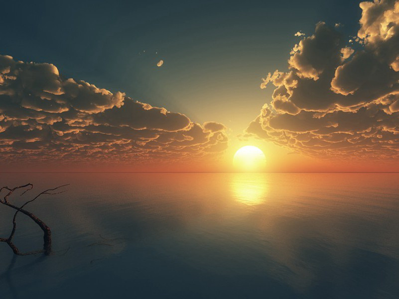 九日杨奉先会白水崔明府