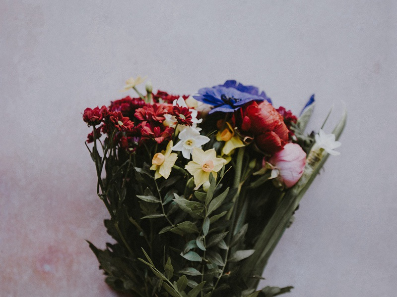 遣兴之二-杜甫度陇客秦州