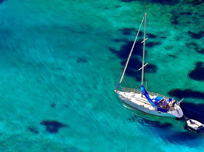 与严武志同道合(杜甫故事)