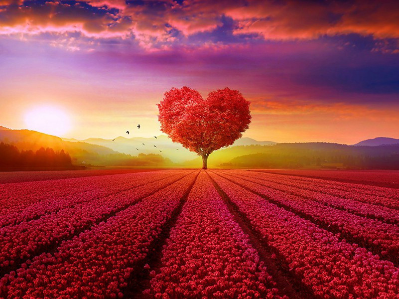 回归自然(杜甫故事)