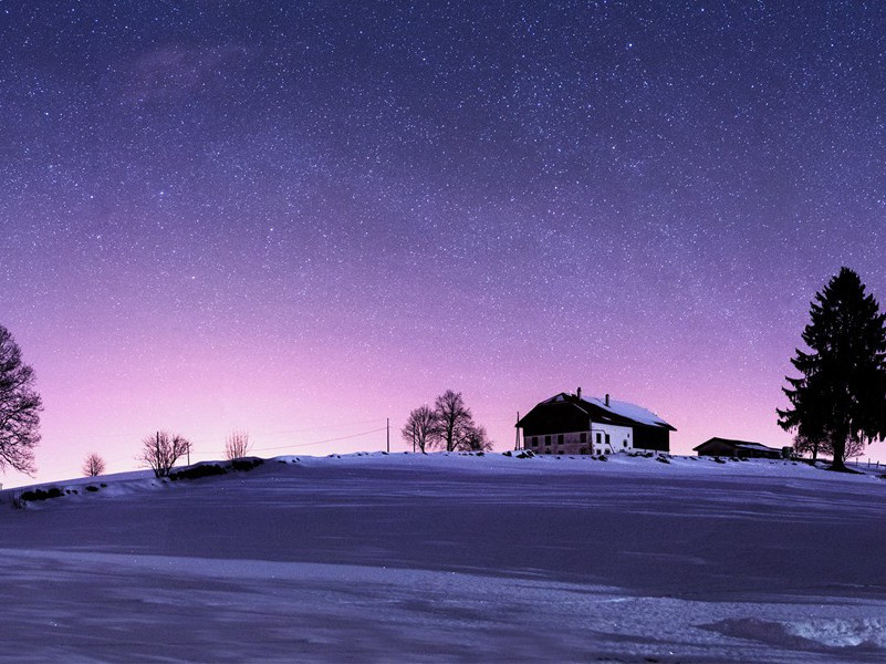 “破甘霜落爪，尝稻雪翻匙”-杜甫丛菊两开