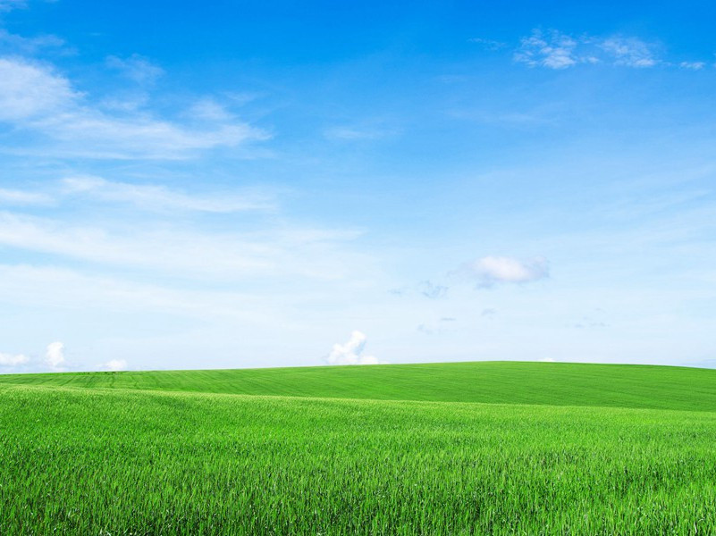 吏隐与假归-杜甫赢得千秋“工部”名