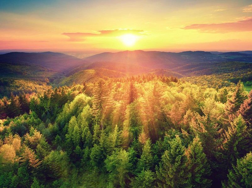 上韦左相二十韵