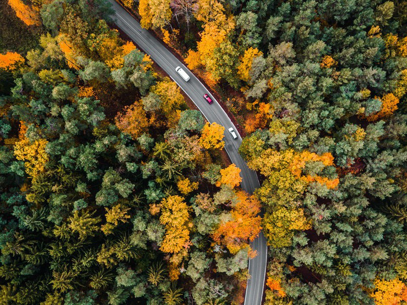 后出塞五首·其一(男儿生世间)