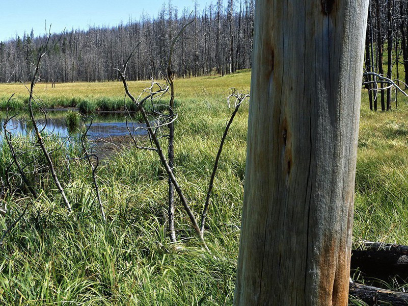 送许八拾遗归江宁觐省甫昔时尝客游此县…图样志诸篇末