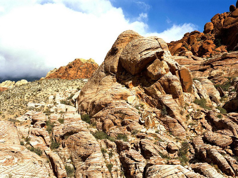 前出塞九首·其八(单于寇我垒)