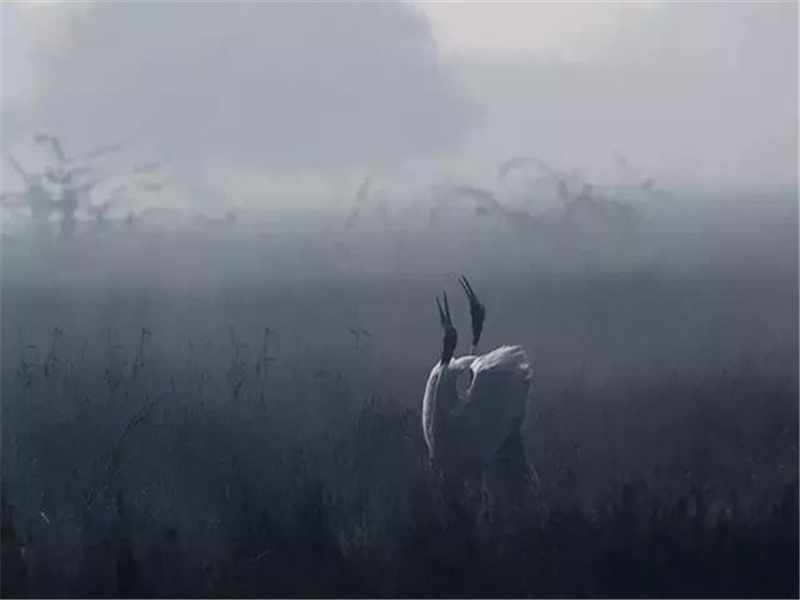 奉寄河南韦尹丈人