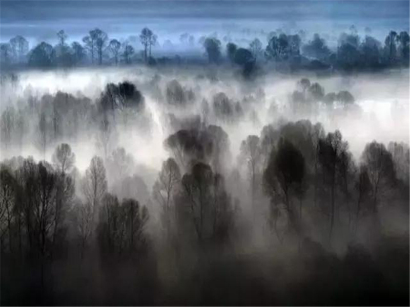 冬日洛城北谒玄元皇帝庙