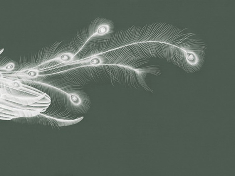 “却赴蜀”-杜甫“蛟龙无定窟”