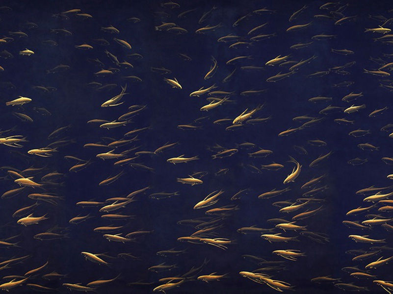 继续漂泊(杜甫故事)